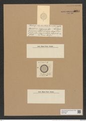 Coscinodiscus megacoccus Castrac. (de-Toni-Nr.: Genus 202, Species 4863) Zeichnungen Sammlung Grunow Nr. 8614 (NHMW-BOT-W0377998)